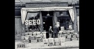 Ballston Spa and a clam bake. Eight 1940s, 1950s photos