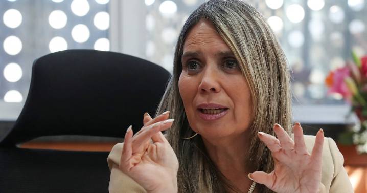 Alcaldesa de Quilpué por demolición de toma: “Frente a un desalojo de esta magnitud y origen nadie podría no tener dudas”