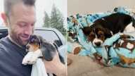 Oregon Puppy Surrendered By Her Family Leaves Rescuer Heartbroken At First Sight