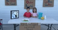 Niagara Falls twins raise $1,500 for SPCA with lemonade stand