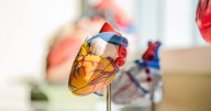 Estrategias naturales para reducir la presión arterial y cuidar el corazón