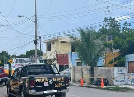 Nueve perros sin vida en Mérida