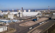 En 90 días se define quién se queda con la mitad de Profertil en venta