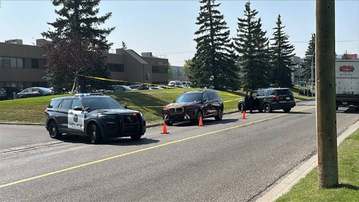 Pedestrian seriously hurt in hit-and-run crash in NE Calgary