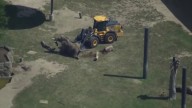 Front-end loader helps zoo elephant get off ground