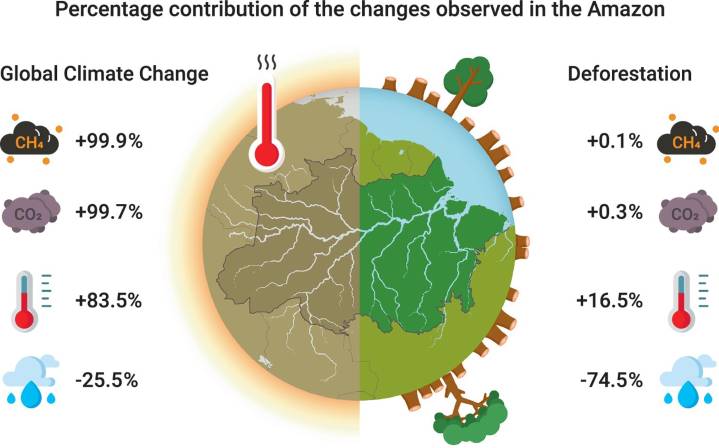 La deforestación, responsable de que las lluvias se hayan reducido un 75 % en la Amazonía