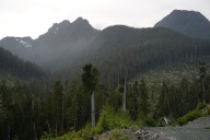 Lichen, logging, land rights: Complex forces play out in fate of ancient B.C. forest