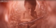New Ohio bill wants controversial creation of life video shown in all public schools