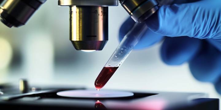 El INCUCAI recibió una certificación internacional por la calidad de su registro de donantes de médula ósea