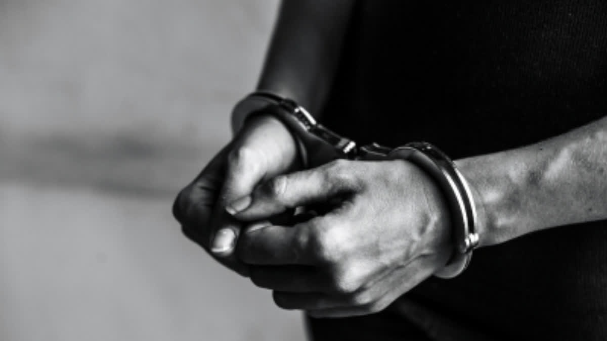 Indian Who Arrived In US Illegally Arrested For Causing Multi