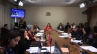Avanza en la Cámara proyecto que busca evitar entrega de pensión de sobrevivencia a condenados por femicidio, homicidio o VIF