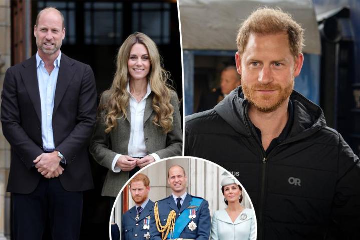 Prince Harry has 'ongoing tension' with 'deeply hurt' Prince William, Kate Middleton: insiders