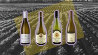 Aligoté: la otra gran variedad de vino blanco de Borgoña