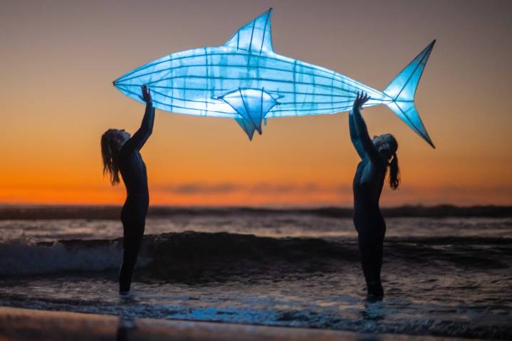 Toxic Surf: Nature Festival artists speak to a community in crisis 