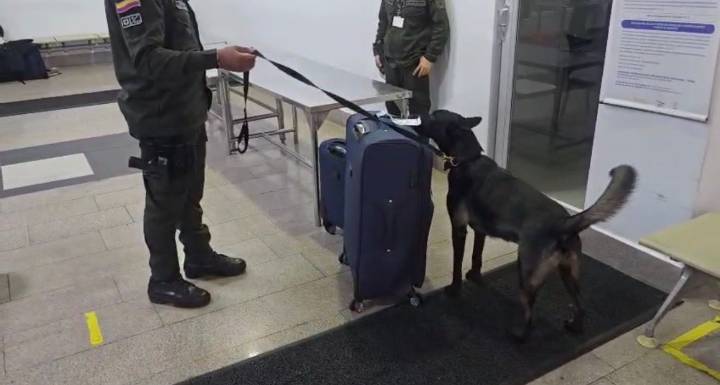 Lo sorprenden con 6 kilos de cocaína en una maleta en Aeropuerto de Cartagena