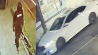 Man wanted in violent e-bike robbery investigation near the Danforth