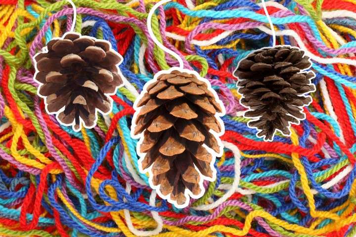 FALL FUN: Easy DIY Pine Cone Weather Predictor Kids Will Love