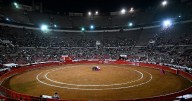 No más Olé: Corte Constitucional de Colombia prohibió las corridas de toros