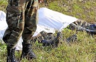 Por falsos positivos, exintegrante del Gaula Militar Casanare fue imputado por la JEP