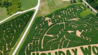 This colossal corn maze in Indiana is filled with life