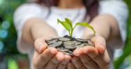 How to earn $1,000 with a CD account now (even after the Fed cut rates)