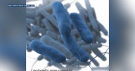 Legionnaires' disease cases in Marshalltown rise to 34