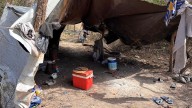 Desbaratan una red de trata laboral del norte santafesino: trabajaban 12 horas sin agua
