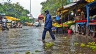 Maharashtra rains: Sharad Pawar urges loan waiver for flood-hit farmers amid 'wet drought' calls from Opposition