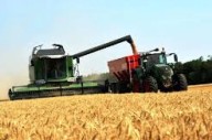 La Pampa exportó USD 554 millones en el primer semestre y creció 2,8% interanual