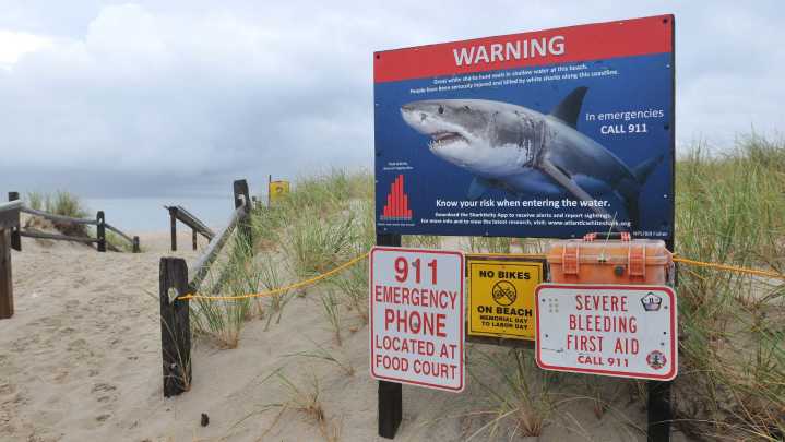 Surgery saves 8-year-old boy's leg after Florida shark bite