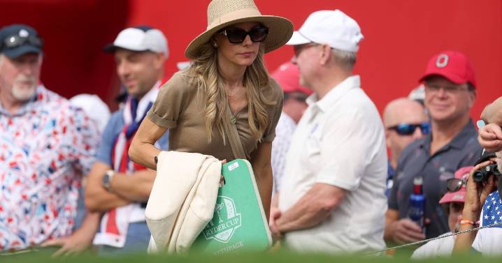 Rory McIlroy intervenes as wife 'hit by drink thrown from crowd' at Ryder Cup