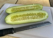 The lost art of saving your own vegetable seeds