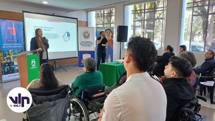 Oficina de Discapacidad y Senadis realizaron seminario provincial de inclusión laboral en Curicó