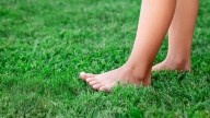The Softest Types Of Zoysia Grass For A Barefoot Lawn