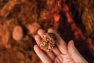 Hudbay Minerals' Winning Trident: Copper, Gold, And Disciplined Cost Management