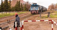 Tren de cargas en Río Negro: «Si viene, debe ser con la planificación de los municipios»
