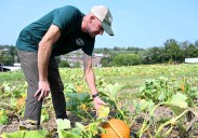 What's the fall weather outlook for Pittsburgh?