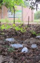 Reanudarán la recolección de los envases vacíos de agroquímicos