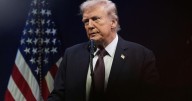 Chief justice lets Trump remove member of Federal Trade Commission for now