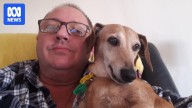 Inquest hears Robina Hospital could have prevented fatal assault on dementia patient Kevin Farr