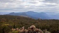 Desperate search for pilot after light plane disappears over Budawang National Park in NSW