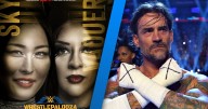 Los posibles combates que WWE prepara para Wrestlepalooza