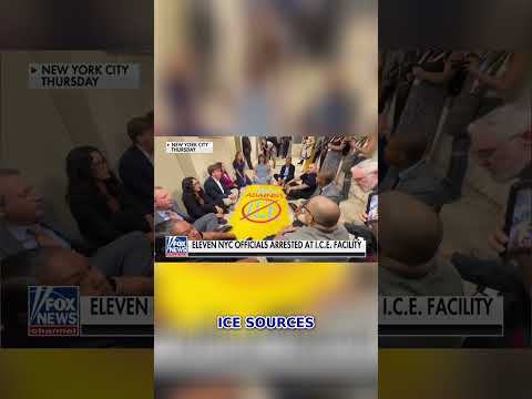 NYC officials ARRESTED at ICE holding facility