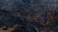La cadena forestal se compromete a mantener los precios de la madera quemada
