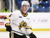 Sarnia Sting's Mitch Young invited to Boston Bruins' rookie camp