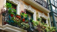 Las 3 plantas ideales para llenar de color tu balcón y duran todo el año