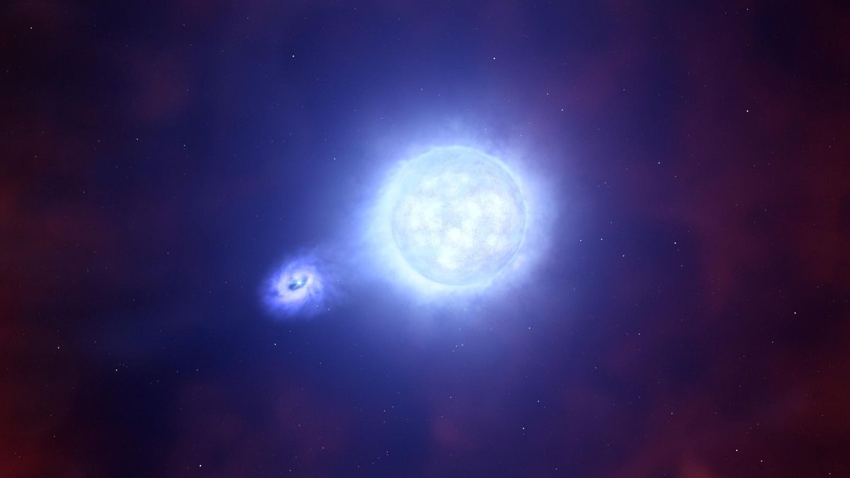 Una investigación del IAC y la ULL descubre que las estrellas masivas prefieren vivir en pareja