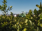 Referentes de CONINAGRO plantearon situación preocupante en yerba mate y forestación
