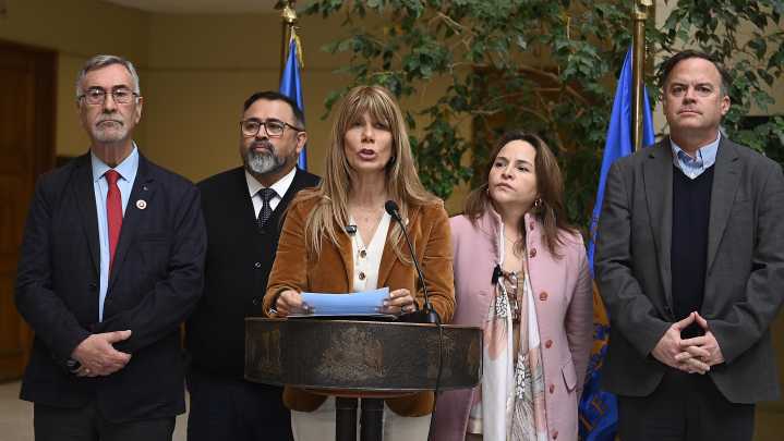 Demócratas defiende candidatura de Ximena Rincón al Senado: "Su repostulación se ajusta plenamente a la Constitución"