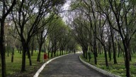 Consulta ciudadana define futuro de proyectos UTOPÍA en Álvaro Obregón y Xochimilco
